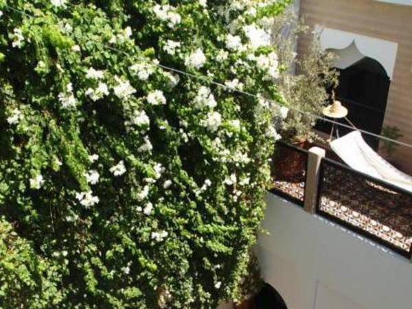 Riad Magellan Yoga and Spa