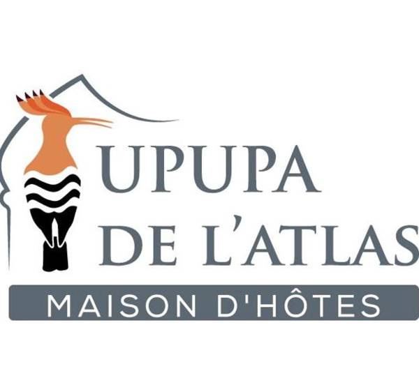 Upupa de l’Atlas