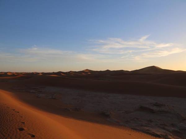 Les voix de Sahara Lodge