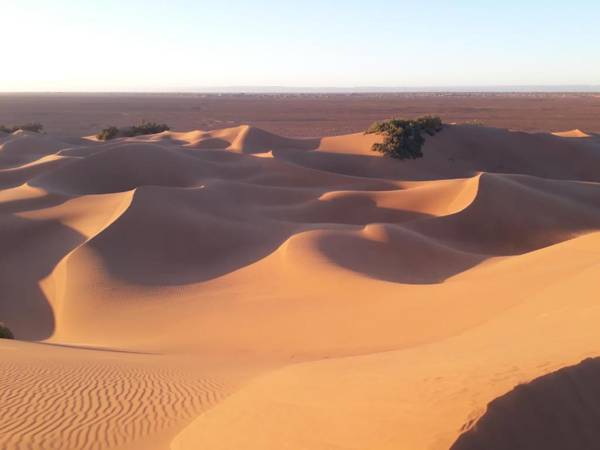 Bivouac de luxe Mhamid