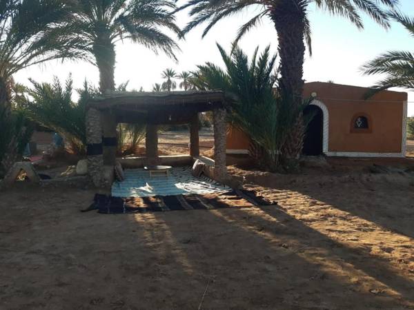 Camp Mhamid Sahara Tours