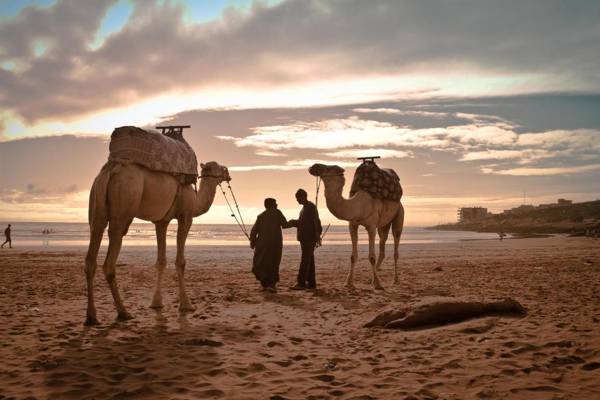 Fairmont Taghazout Bay