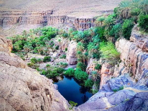 Ecolodge Ouednoujoum