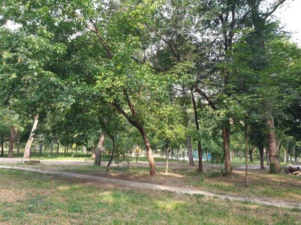 Ion Neculce 1/1Appartamento