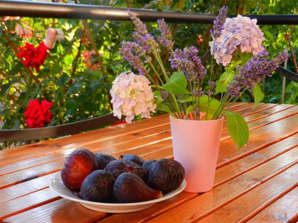 Guest house Villa Leonardo