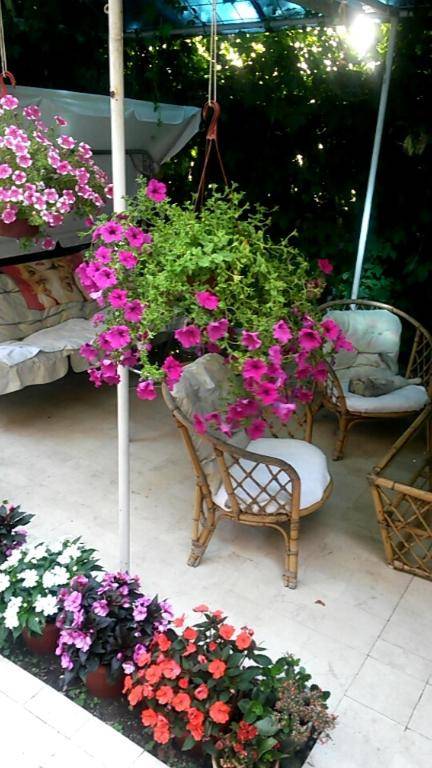 Apartments Knežević