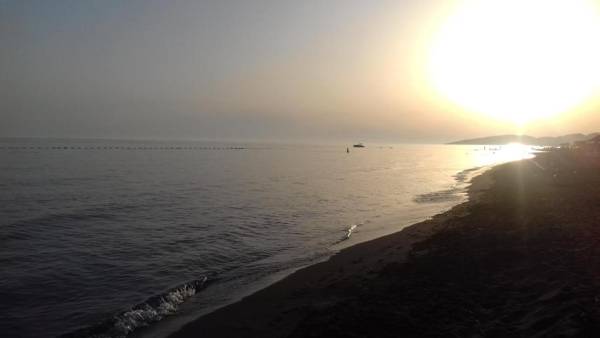 Apartment Vuk i Novak