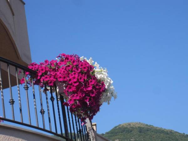 Apartments City Center