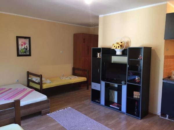 Apartment Davidovic
