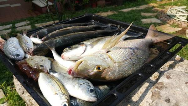 Stone Circle Apartments