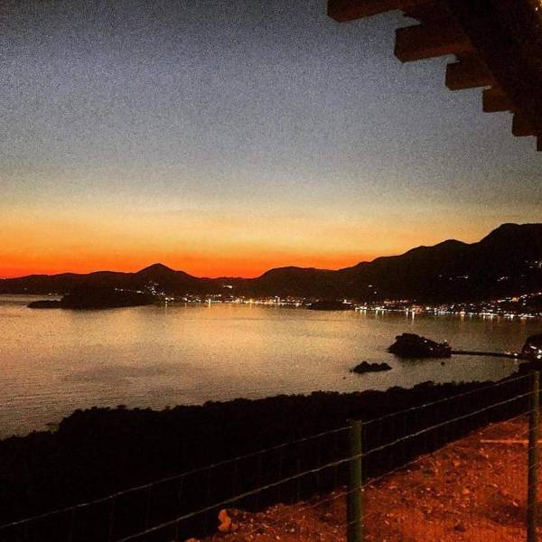 Apartments Dragišić