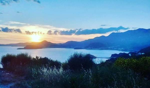 Apartments Dragišić