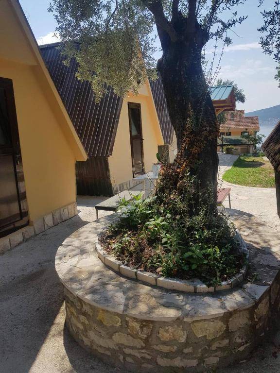 Apartments and Bungalows Mimoza Baošići