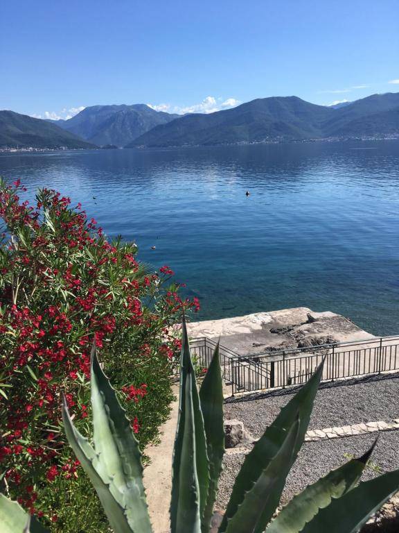 Apartment Tri Kiparisa