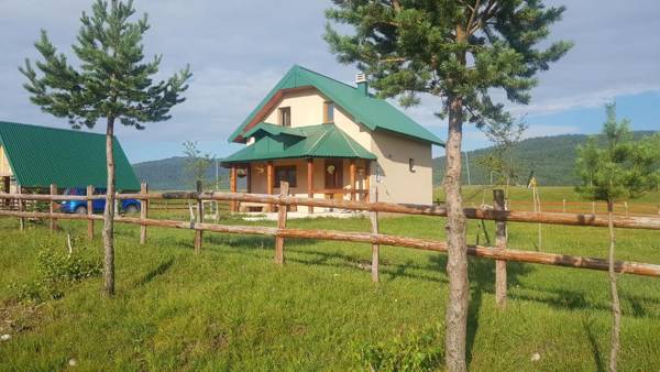 Vacation Home Andjelic