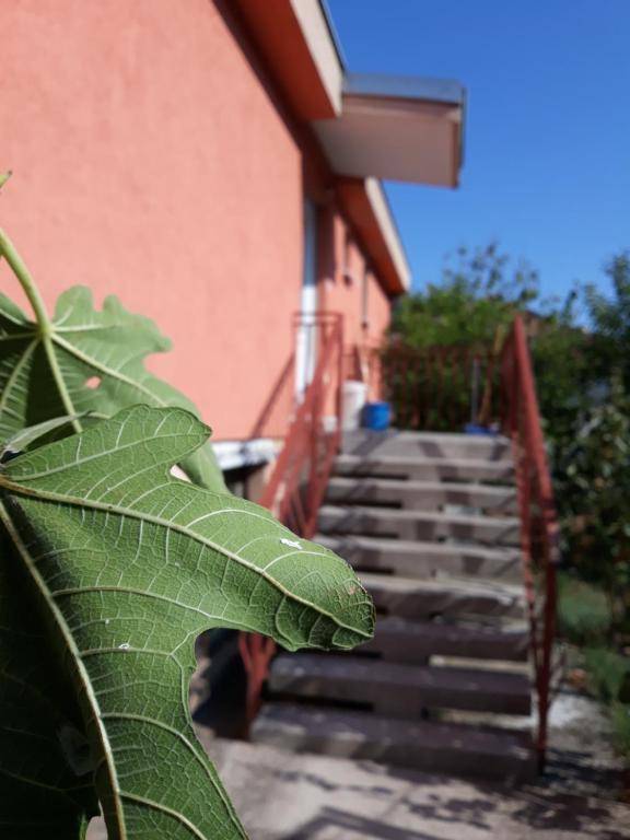 Apartment Lazar & Marco