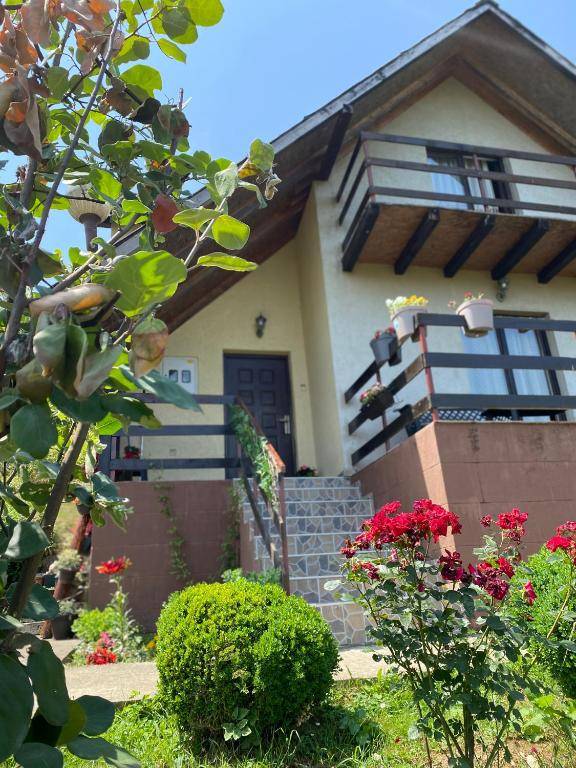 Vidikovac BIJELO POLJE