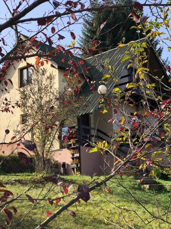 Vidikovac BIJELO POLJE