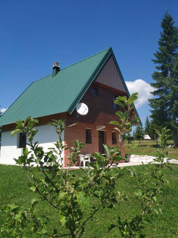 House in forest