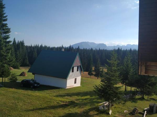 House in forest