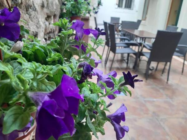 Kotor Emerald Apartments