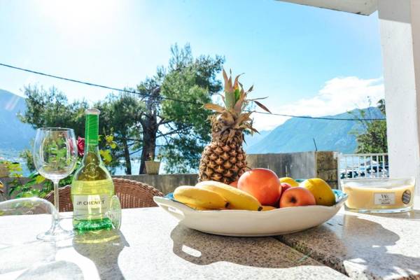 Waterfront Apartment Petrovina