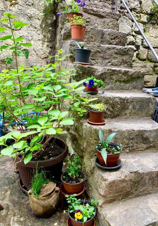 HealthyStudio512 Apartments