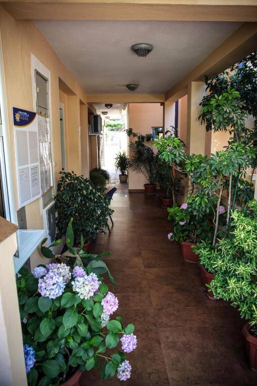 Apartments Stari Ribar