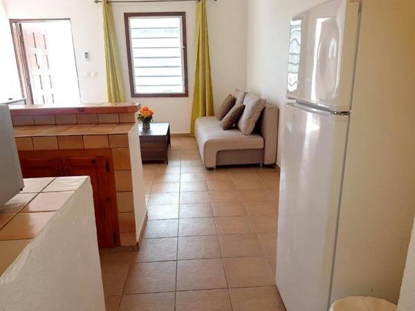 One bedroom appartement with furnished garden and wifi at La Savane 2 km away from the beach