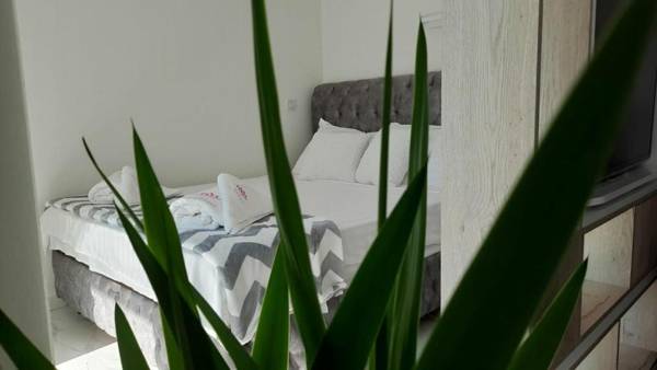 Luxury Apartment IVA