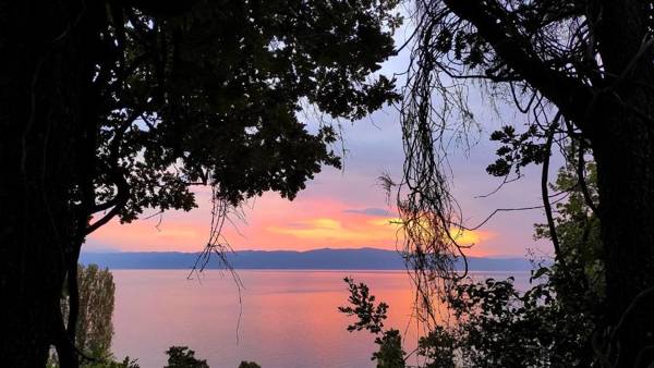 Villa Forest Paradise