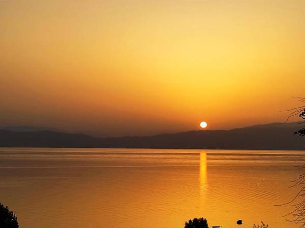 Villa Forest Paradise