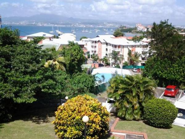 CoCoKreyol - Alamanda -