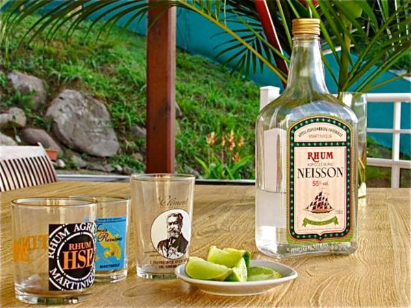 Appartement d'une chambre avec vue sur la mer jardin clos et wifi a Les Trois Ilets