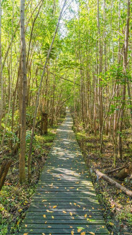 Residence Les Cayalines