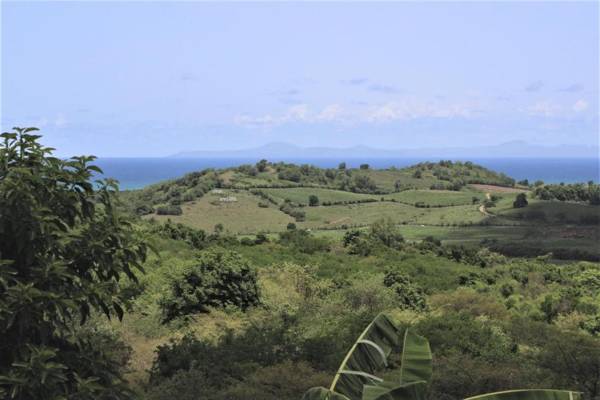 Villa Carib Turquoise : 4 ch grande piscine vue sur Sainte-Lucie