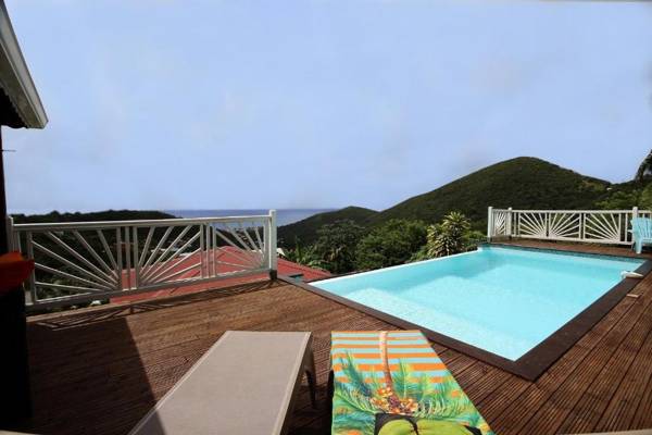 Villa Palmier rouge : 3 ch piscine à débordement vue mer et végétation