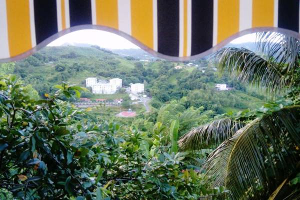 Appartement d'une chambre avec jardin amenage et wifi a Saint Esprit