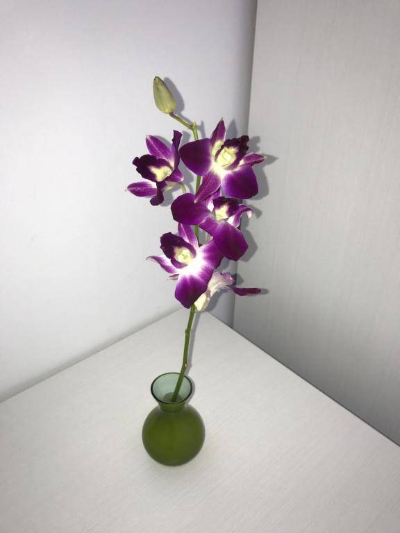 Escape to St Julians