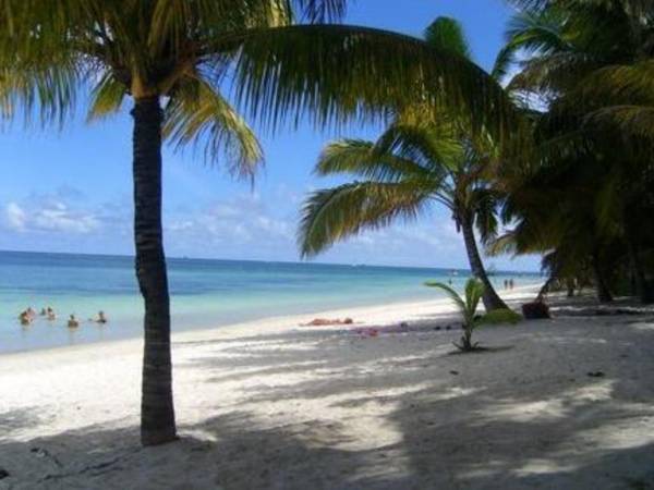 Residence Le Palmiste