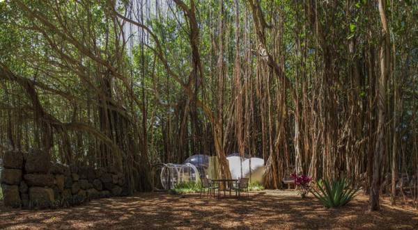 Bubble Lodge Ile aux Cerfs Island