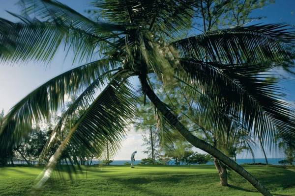 Bubble Lodge Ile aux Cerfs Island