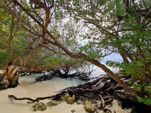 White Lagoon Fehendhoo