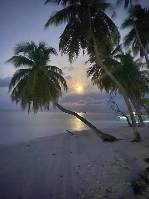 Mandhoo Inn