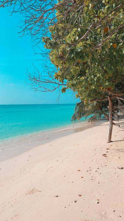 RISING SUN BEACH VIEW