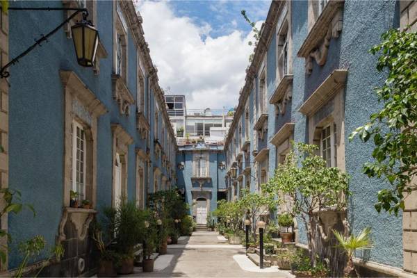 The Local Way - Azul Cordoba