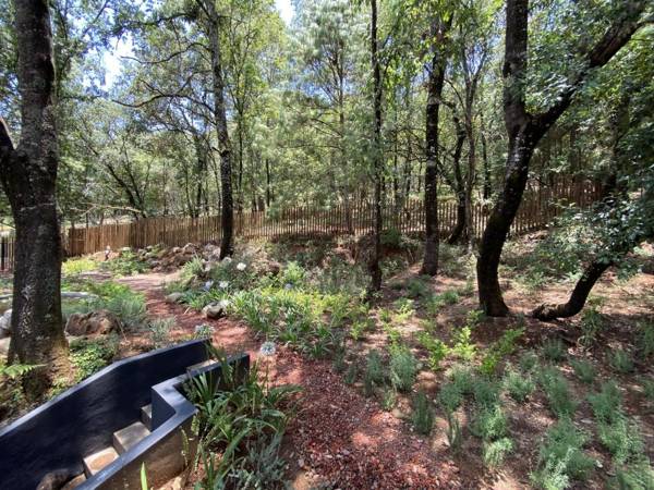 Hotel Oxú Solo adultos