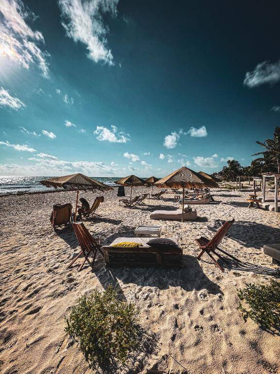 Orchid Beach House Adults Only