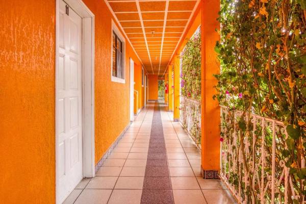 Hotel Posada Bugambilias