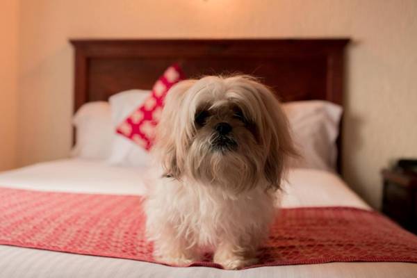 Rosario Hotel Boutique